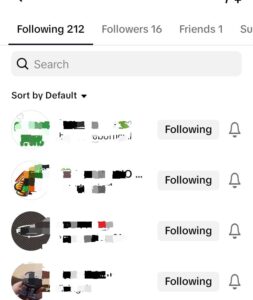 tiktok following list