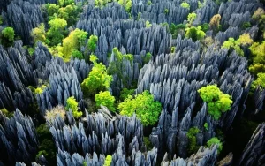 What to Do in Madagascar