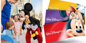 Disney Florida Resident Tickets