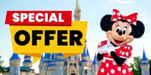Disney Florida Resident Tickets